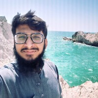 Hafiz Hamza Mansoor