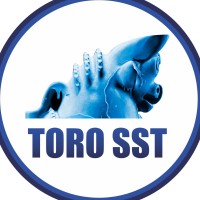 ToroSST SAC- Seguridad y Salud en el Trabajo