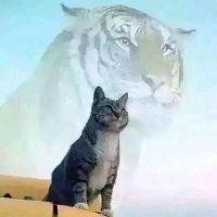 徐庆富