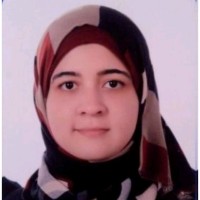 Mariam Amir