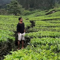 Sanjeevan Balachandran