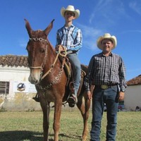 joao marcelo custodio alves