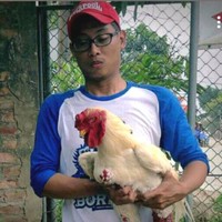 Ferro Maulana