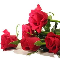 Maurice 4 U