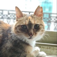 钱文俊