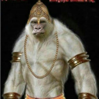 Rajender Kumar