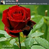 Parvez Ahmed