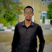 Ahmed M.Salan