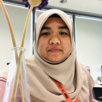 Norhafizah Faudzi
