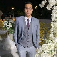 Sayed Hossam Elden , DipIFR