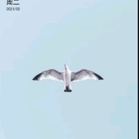 杨胜利
