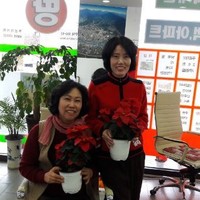 김영순