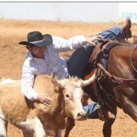 cody gibbs