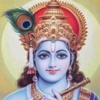 Vp Srivastava