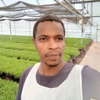Gosaye Wondmagegn