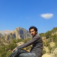 Mojtaba Jamshidi