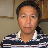 Luis Fernandez