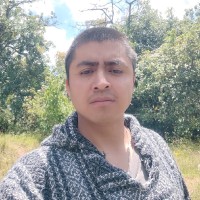 Alejandro Molina Jiménez