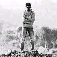 Silvan Dsa