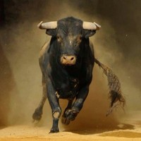 Rainero Bera