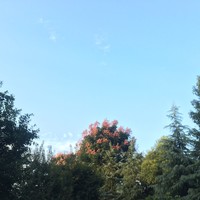 潘龙飞