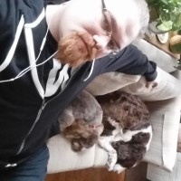 michael weeks-johnson