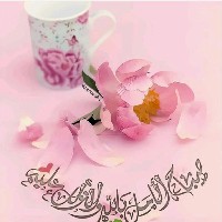 عاطف سالم