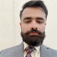 Hammad Ahmed🦀