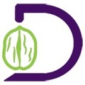 Dry Fruit Mart