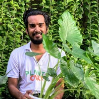 Srijan Mathur