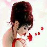niloufar lotfi