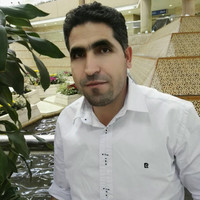 Emad Al-Sayed