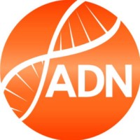 ADN Consulting