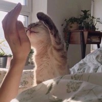 张羽璇