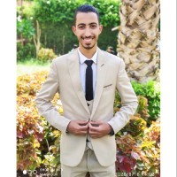 Mahmoud Hamed Deif