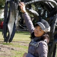 Lin Gan, Ph.D.