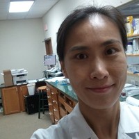 Insun Lee