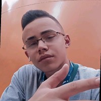 Raul Gomes Da Silva Mamede