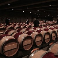 植木友博　部長