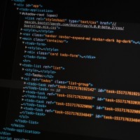Web Developer