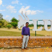 Rohit Yadav
