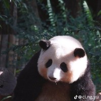Thùy Dương Đỗ