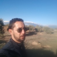 Madjid Laarfi