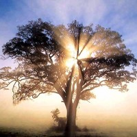 Sergio Alejandro Marcos Camacho