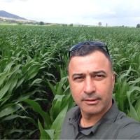 Ahmet Orkun Akdemir