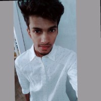 Vivek V Gopal