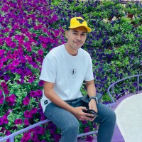 Najmi Hakimi