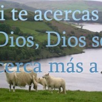 Maria de Fatima Mangueira