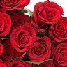 Amarjith M.S