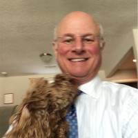 Joe French